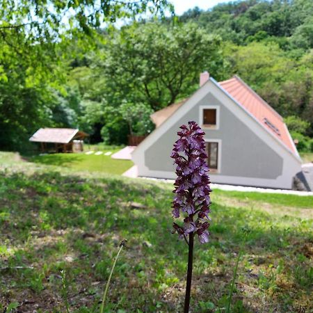 Ferienwohnung Kosbor Vendeghaz Monoszlo Exterior foto