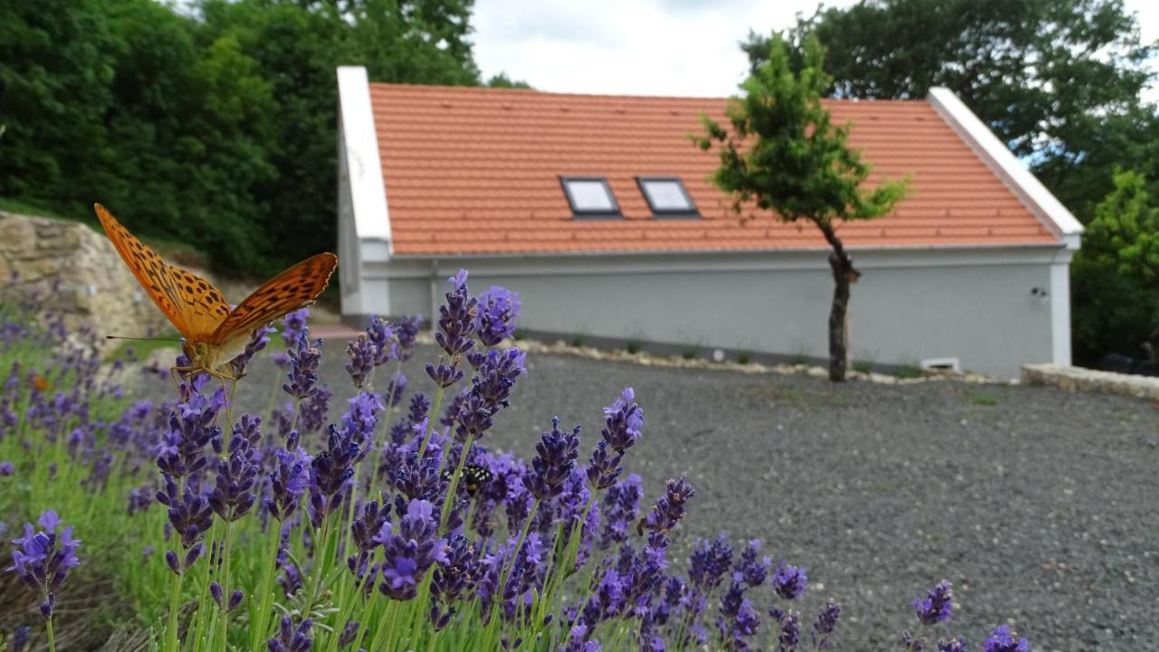 Ferienwohnung Kosbor Vendeghaz Monoszlo Exterior foto