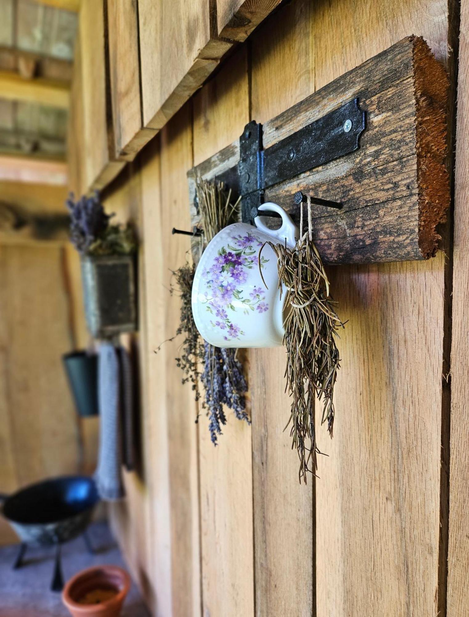 Ferienwohnung Kosbor Vendeghaz Monoszlo Exterior foto
