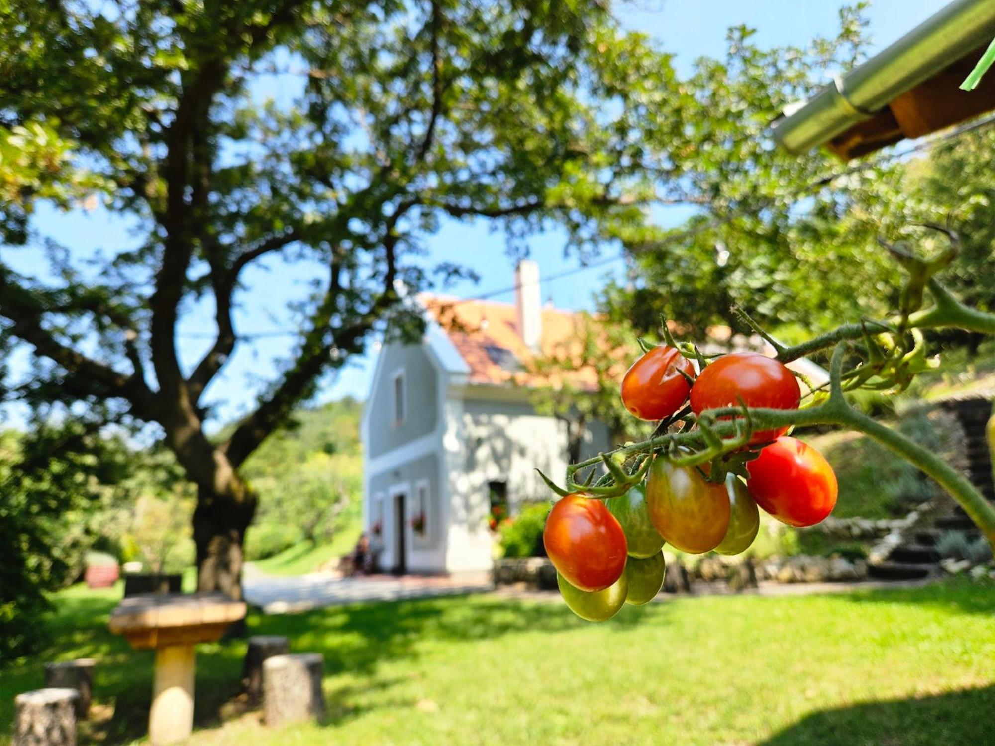 Ferienwohnung Kosbor Vendeghaz Monoszlo Exterior foto