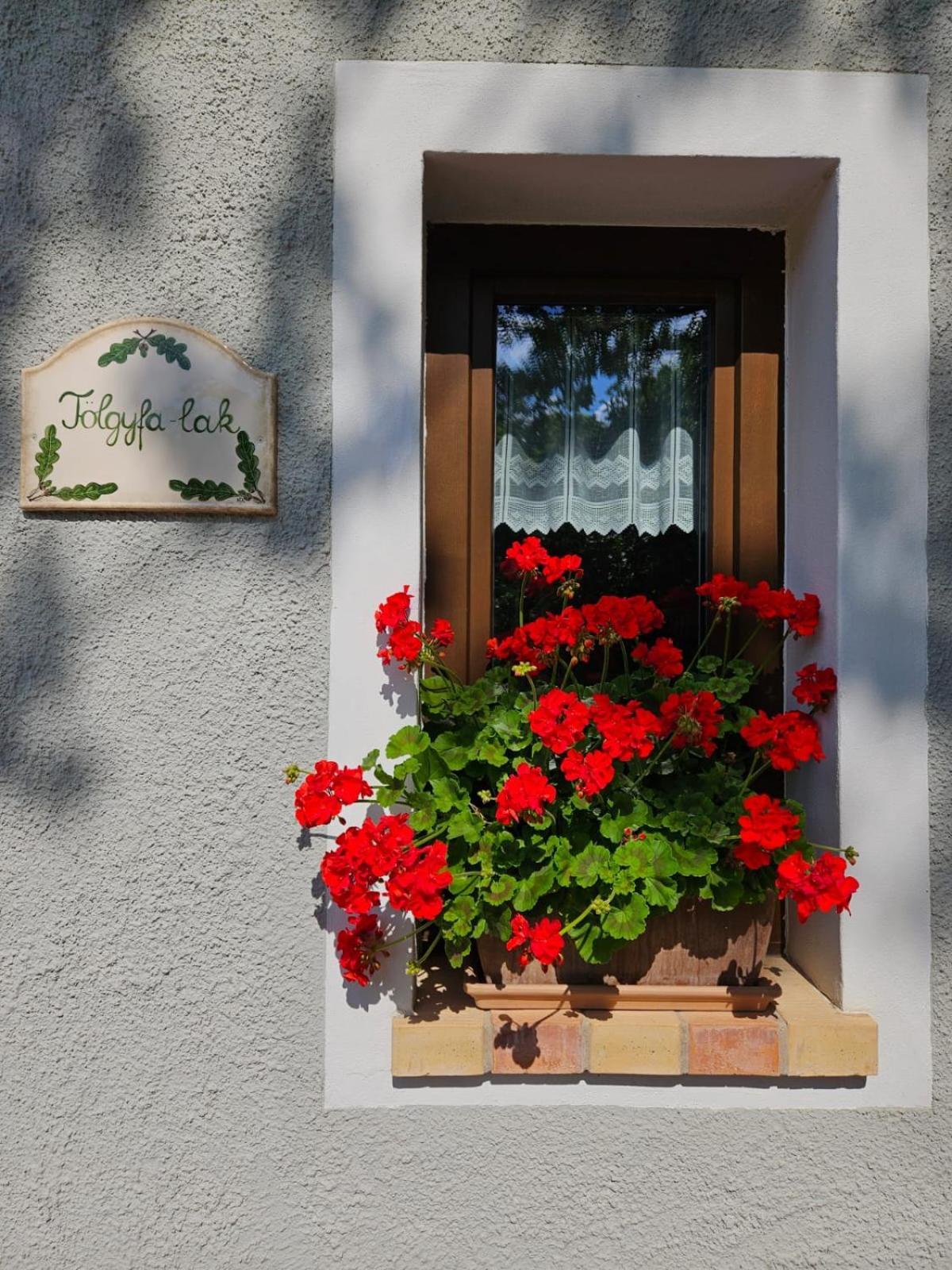 Ferienwohnung Kosbor Vendeghaz Monoszlo Exterior foto